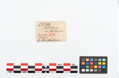 Etikett zu Bronzeröhrchen (NHMW-PRAE-025249)